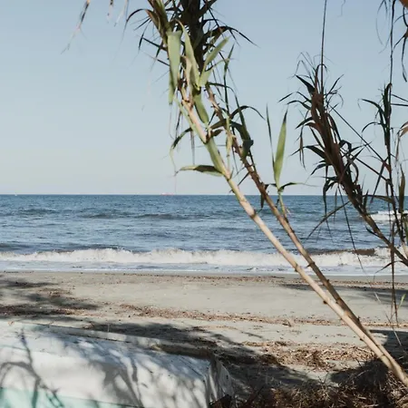 Caravane Amy On The *