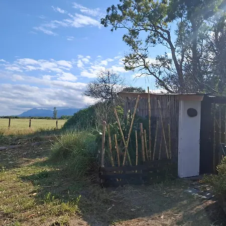 Caravane Amy On The *