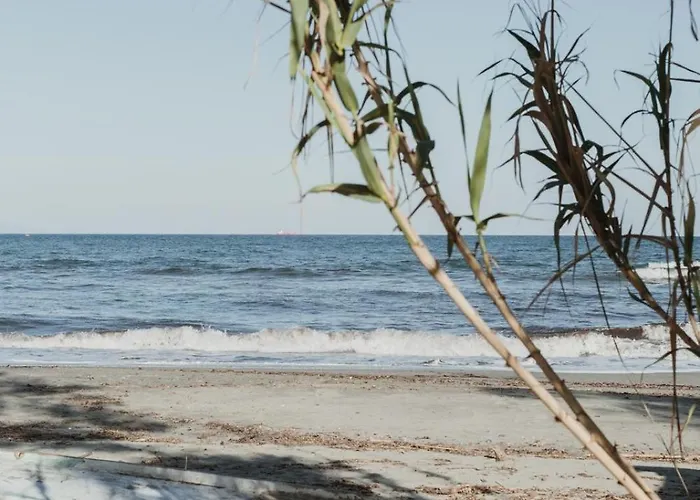 Caravane Amy On The *