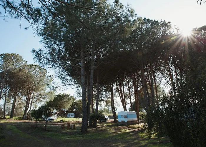 Kemping Caravane Amy On The Lucciana
