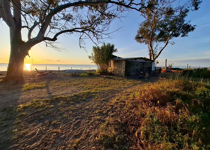 Caravane Amy On The Camping *