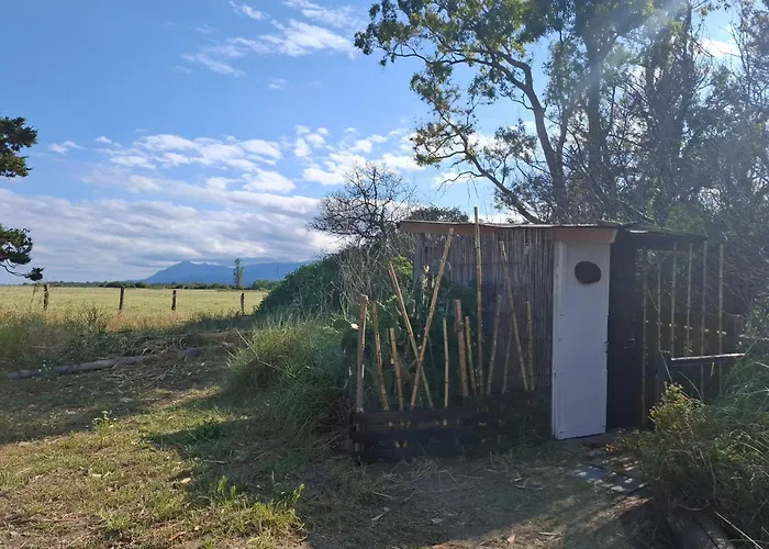 Caravane Amy On The *